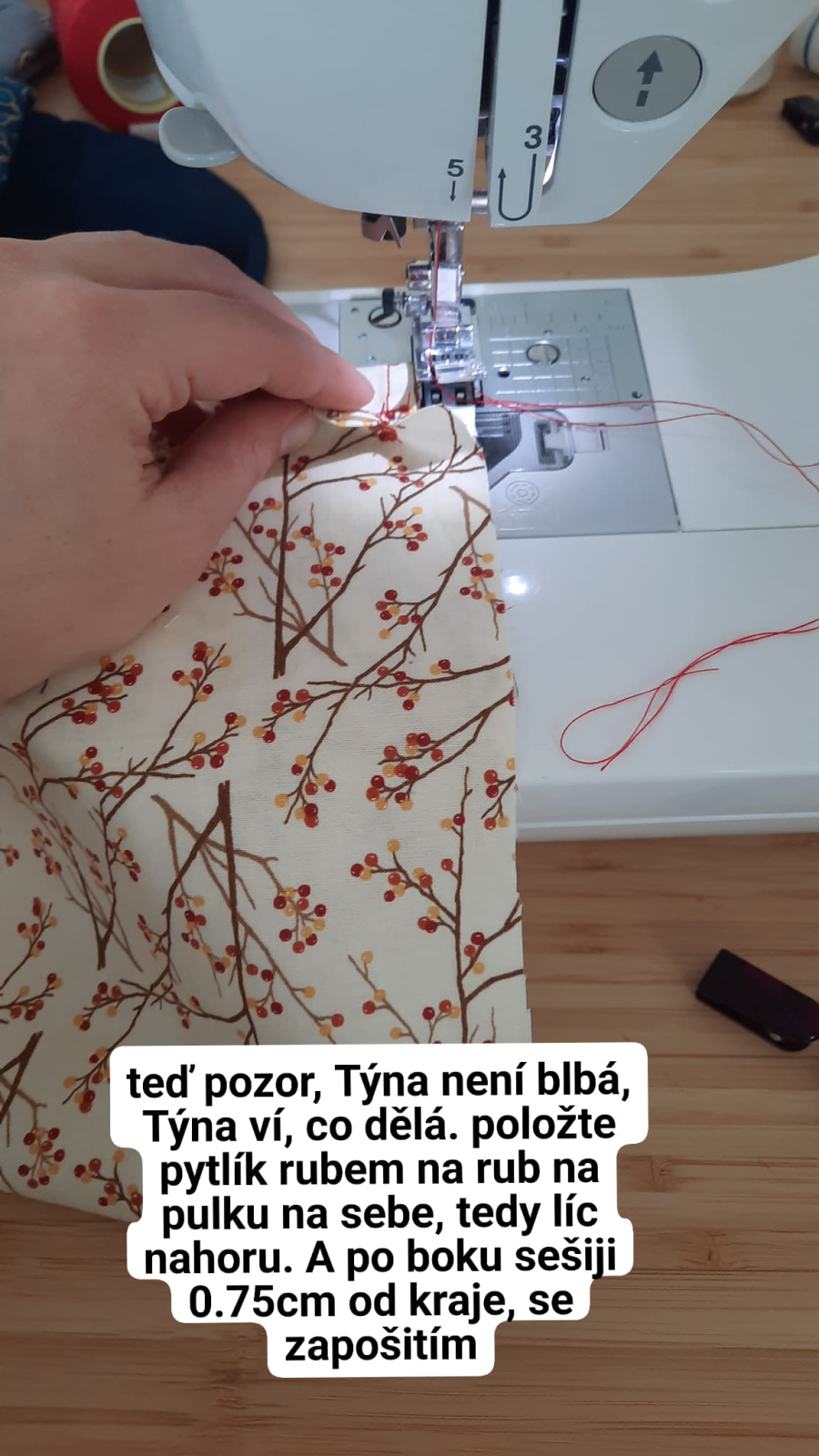 Francouzskýšev nebo také dvojitý hřbetový šev je jednoduchý způsob začištění okraje látky pouze s použitím rovného stehu. Takový šev je ušitý 2x, je velice pevný a hodí se všude tam, kde je šev namáhaný, viditelný nebo z jemné, třepivé látky. Vytvoříme jej tak, že bok sáčku sešijeme nejprve po lícové straně asi 0,5 až 0,75cm od okraje se zapošitím.