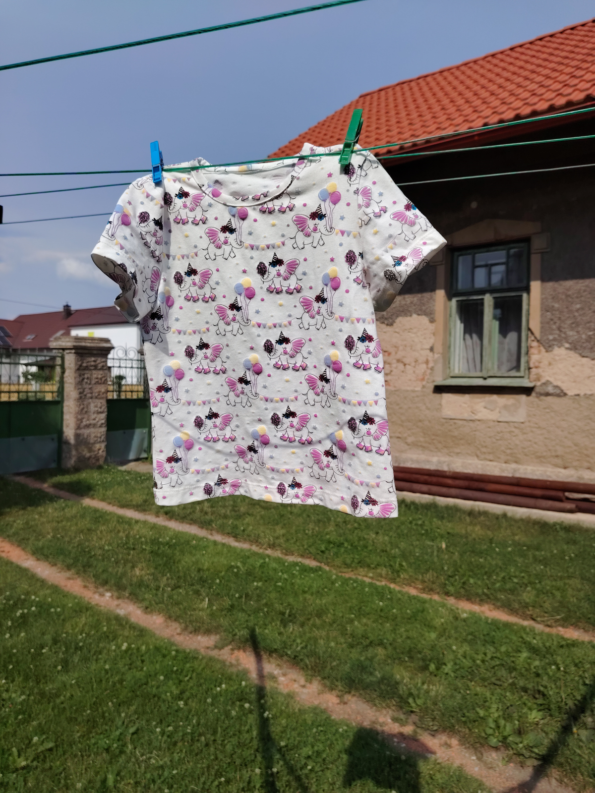 Životriko