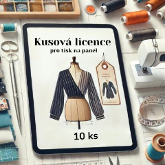 Kusová licence 10ks
